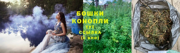 гидра Лиски