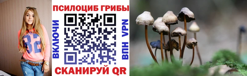 Псилоцибиновые грибы Psilocybe  где продают наркотики  Таштагол 